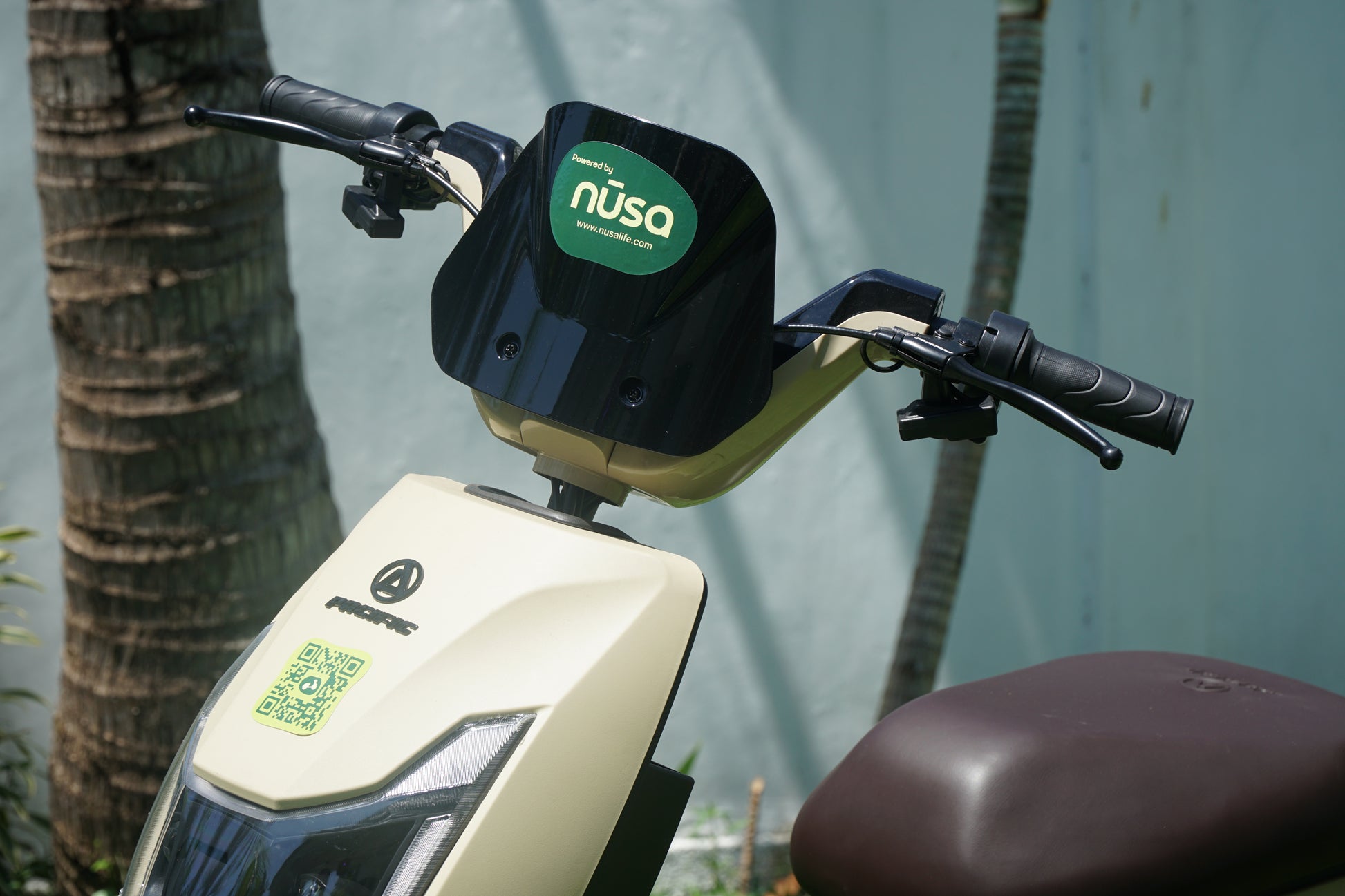 Rent an E-Bike