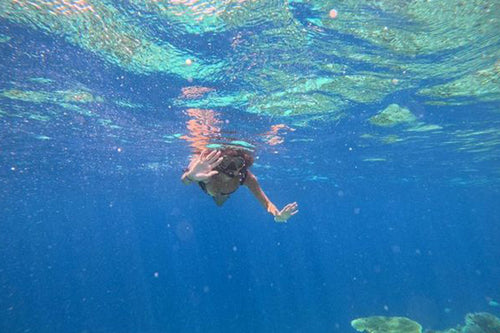 3 Gilis Snorkeling Trip (5 Hours)